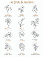 Les douze fleurs de naissance proposées par Artesama, du perce-neige de janvier au narcisse de décembre, avec leurs deux qualités symboliques