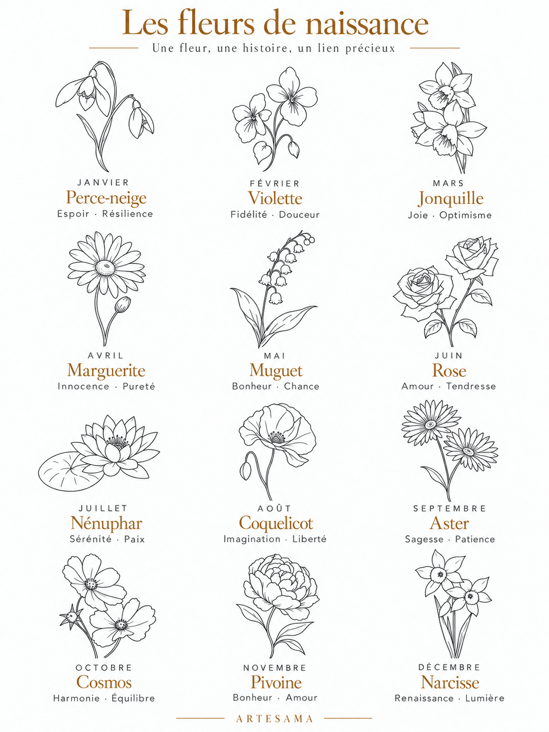 Les douze fleurs de naissance proposées par Artesama, du perce-neige de janvier au narcisse de décembre, avec leurs deux qualités symboliques